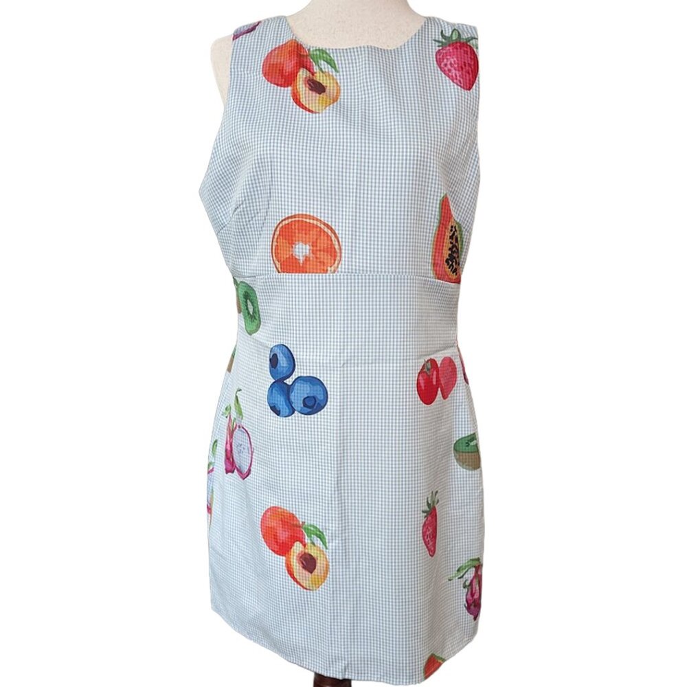NWT Leli's Light Blue Gingham Fruit Print Mini Dress